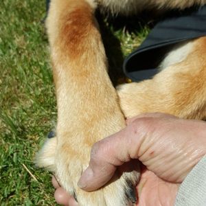 Meet your Posher, Mary